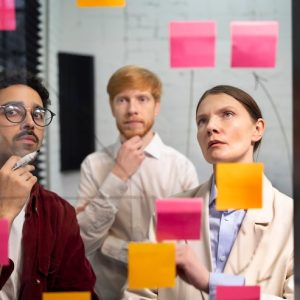 Business Mastery Program