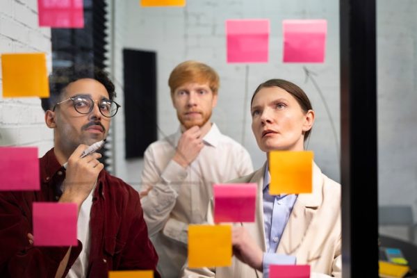 Business Mastery Program